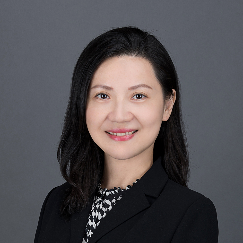 Dr. Luwei Chen